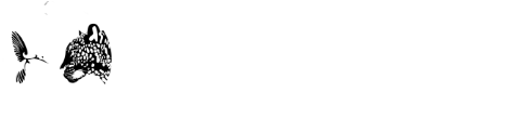 The School of Shamanic Initiation